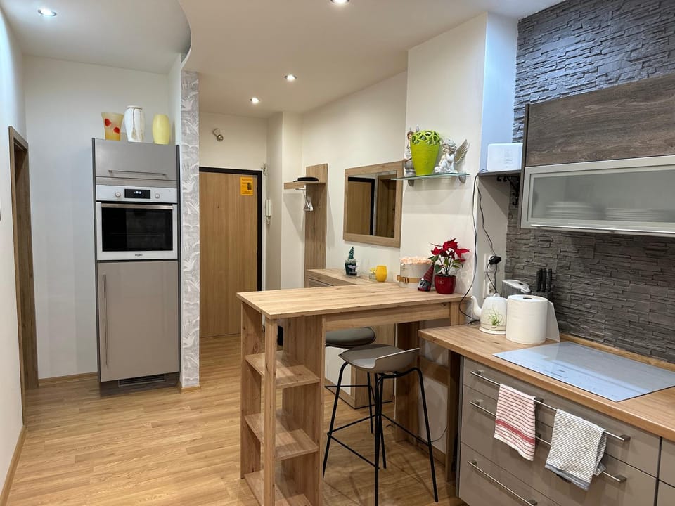 Sunny House One Apartment in Bratislava