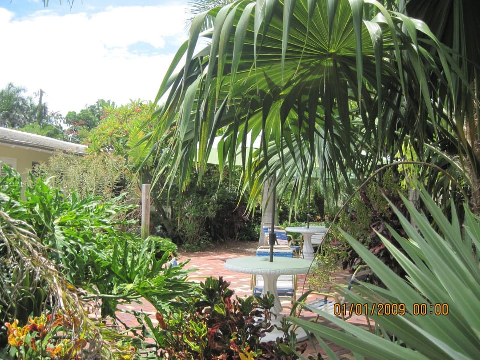 Garden view