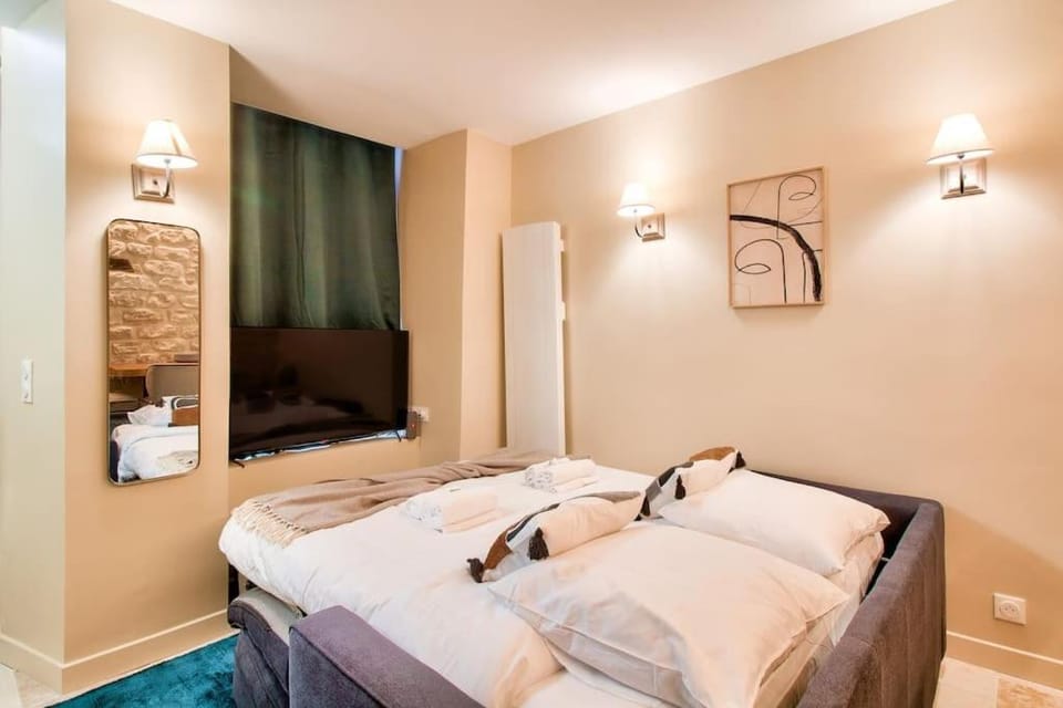 Cozy apartement heart historic Paris Apartment in Paris