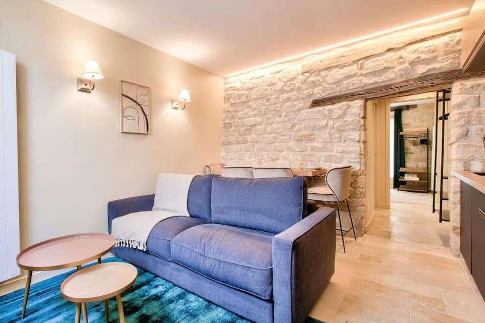 Cozy apartement heart historic Paris Apartment in Paris