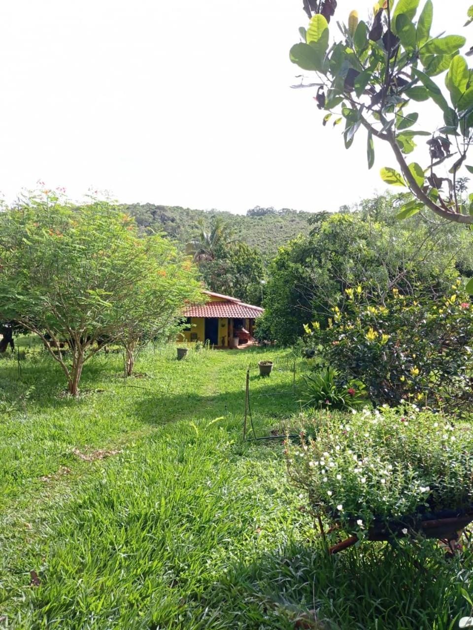 Natural landscape, Garden, Garden view