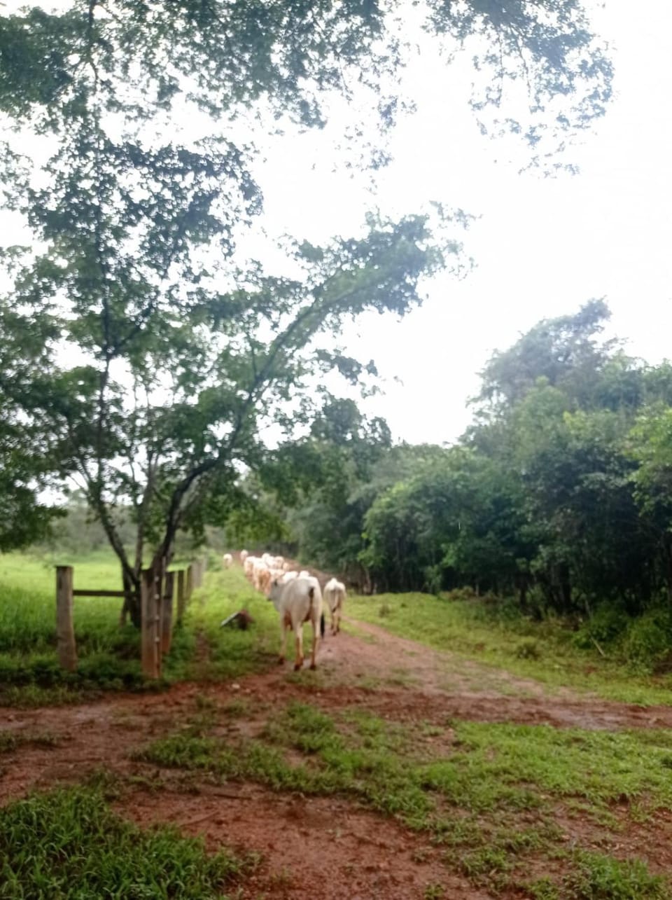 Natural landscape