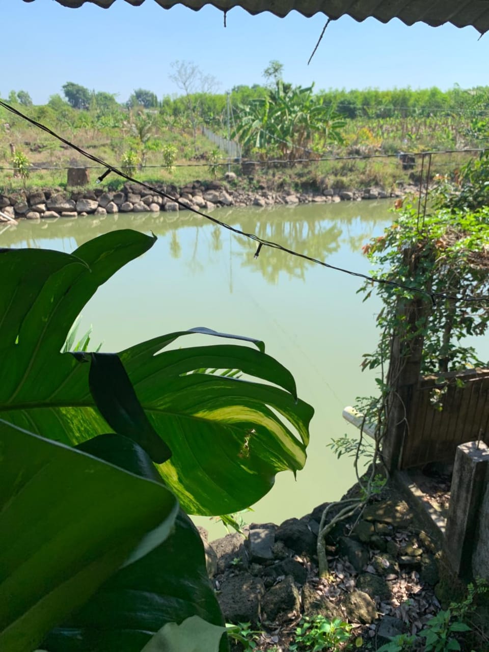 River view