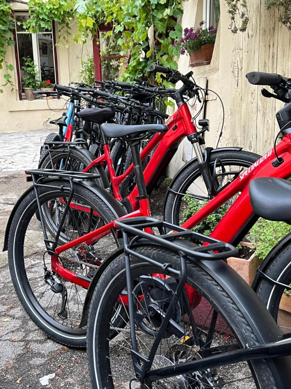 Cycling, Cycling