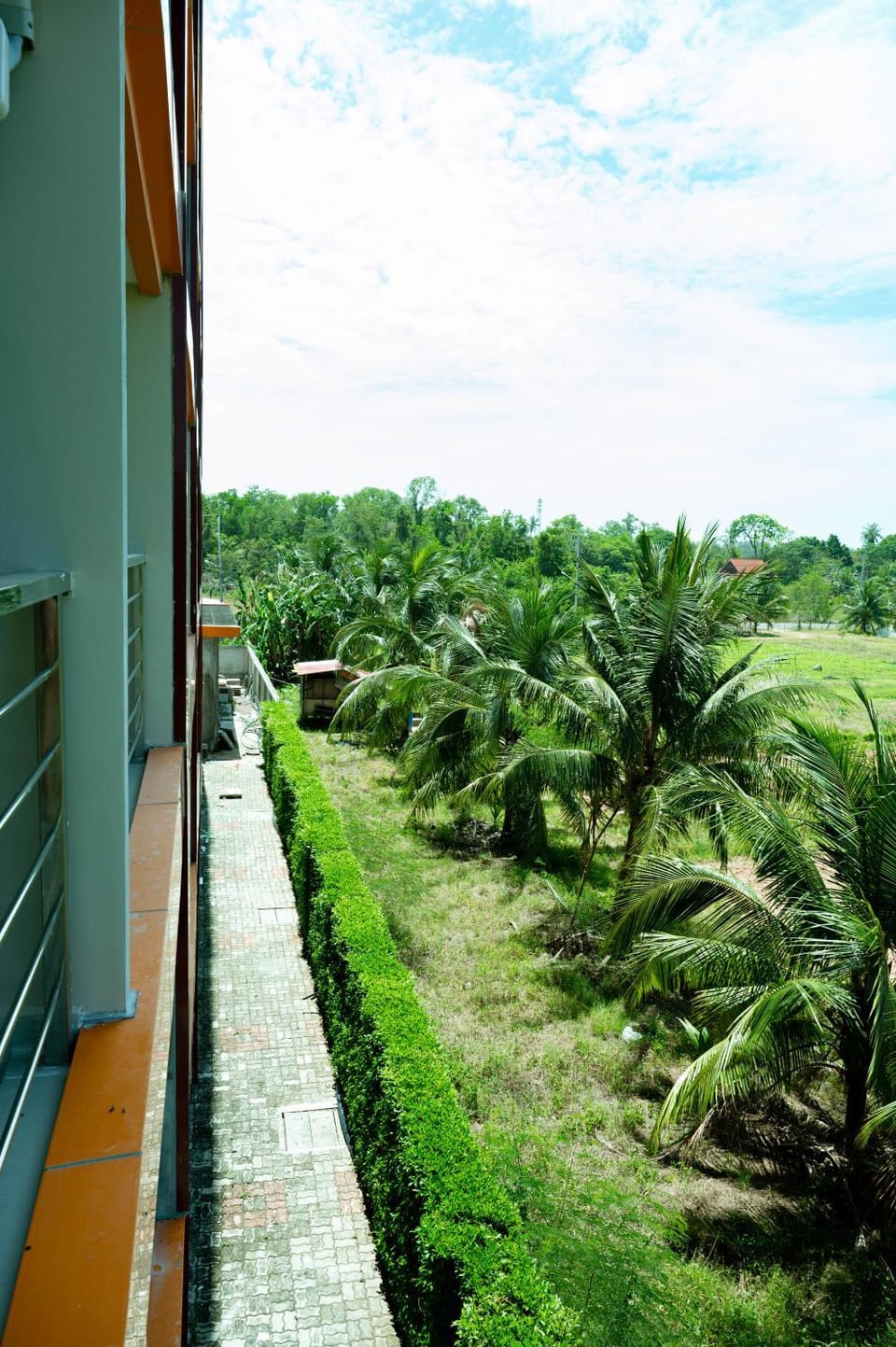 Garden view