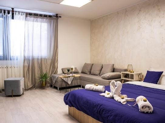 Center Cozy Apartment Apartment in Vojvodina
