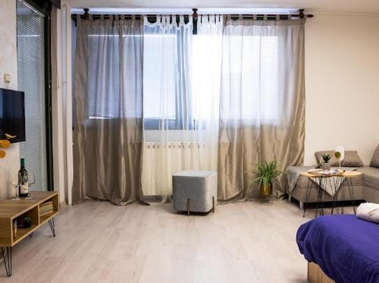 Center Cozy Apartment Apartment in Vojvodina