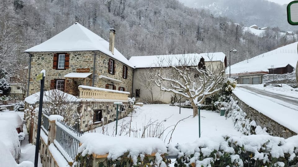 Property building, Winter
