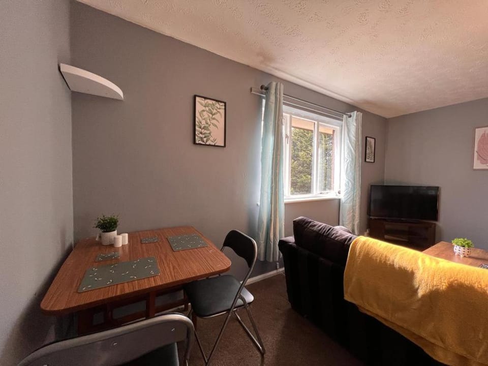 Spacious Apartment with Parking Apartment in Norwich