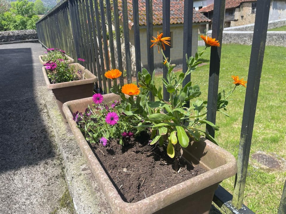 Spring, Day, Garden, Garden view