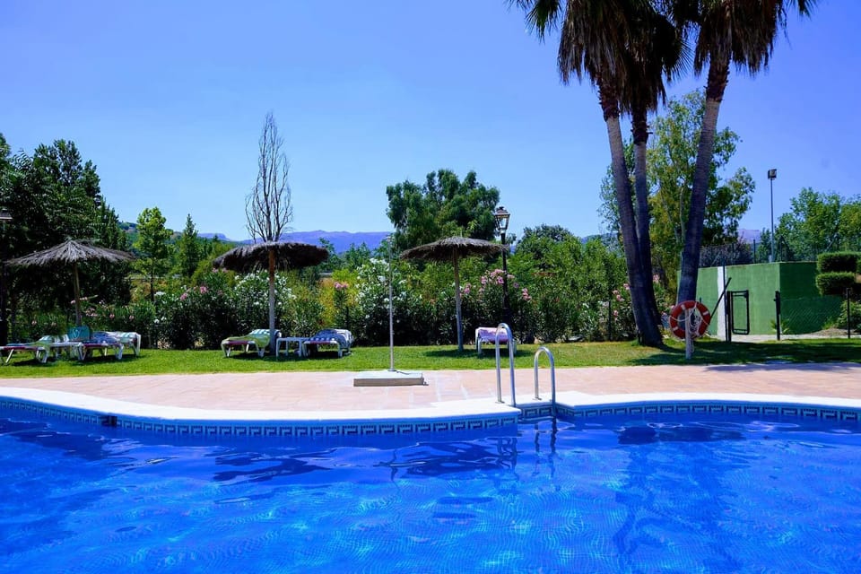 Pool view, Swimming pool
