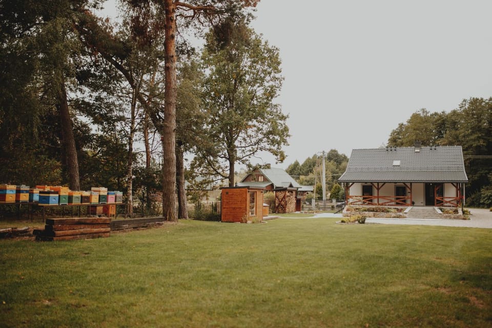 Property building, Day, Natural landscape, Garden, Garden, Hot Tub, Garden view
