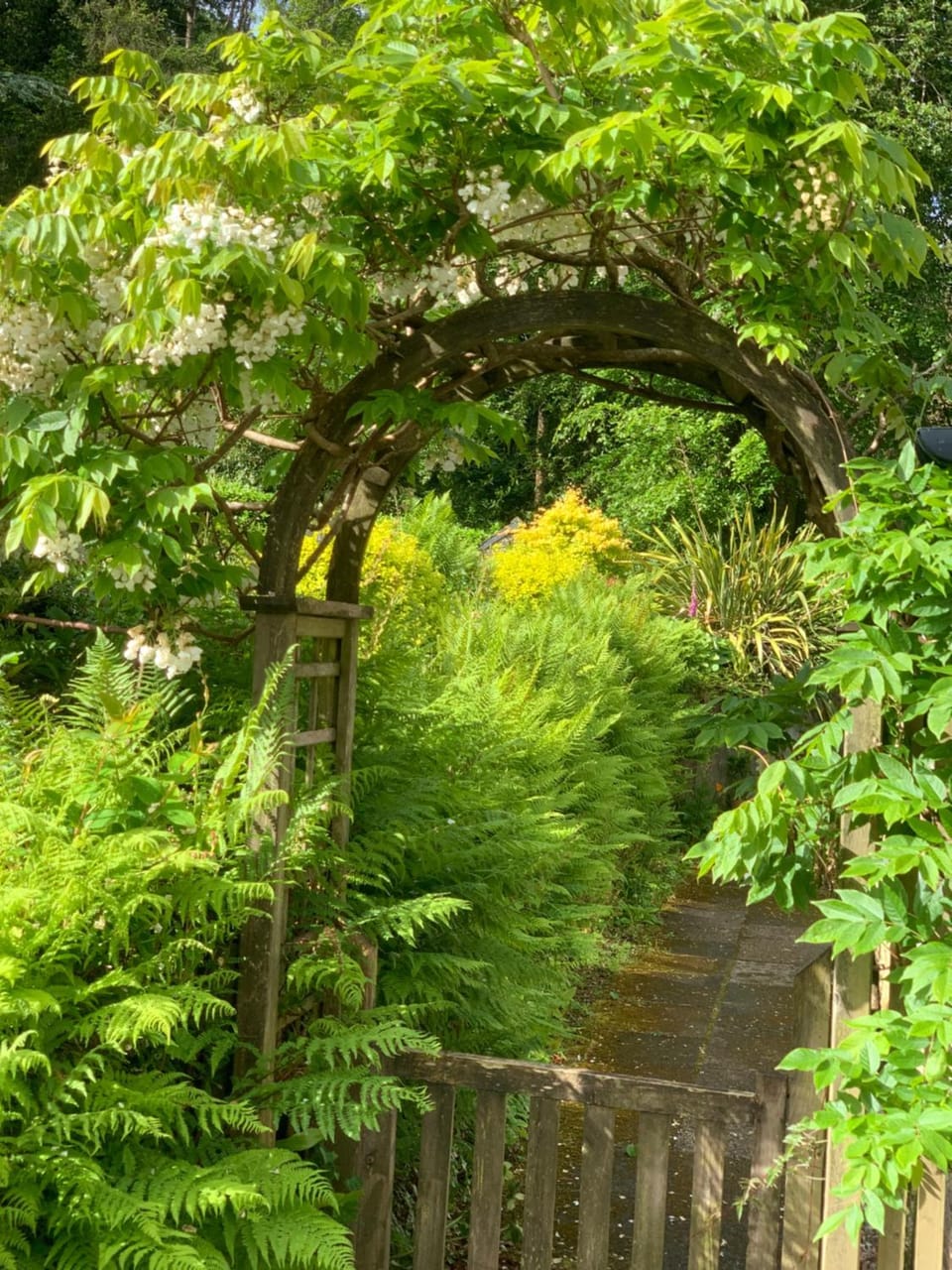 Maristow Cottages, overlook Tamar Valley Dartmoor Apartment in West Devon District