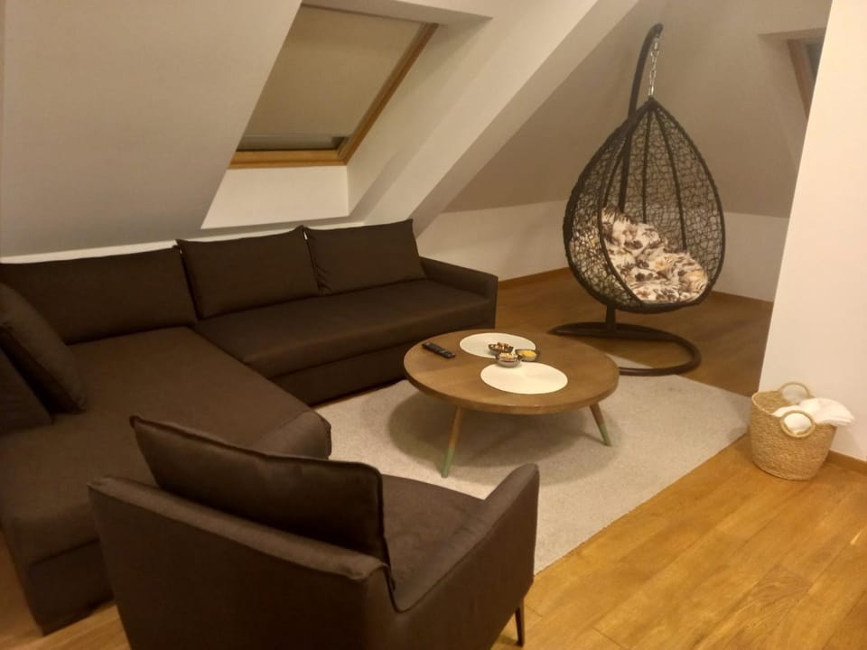 Vila Borova Zlatibor Apartman 501 Apartment in Zlatibor