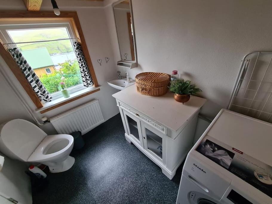 Toilet, washing machine