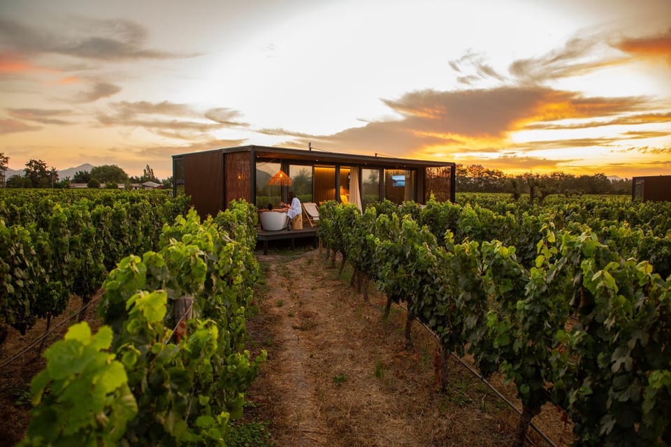Day, People, Garden view, Sunset