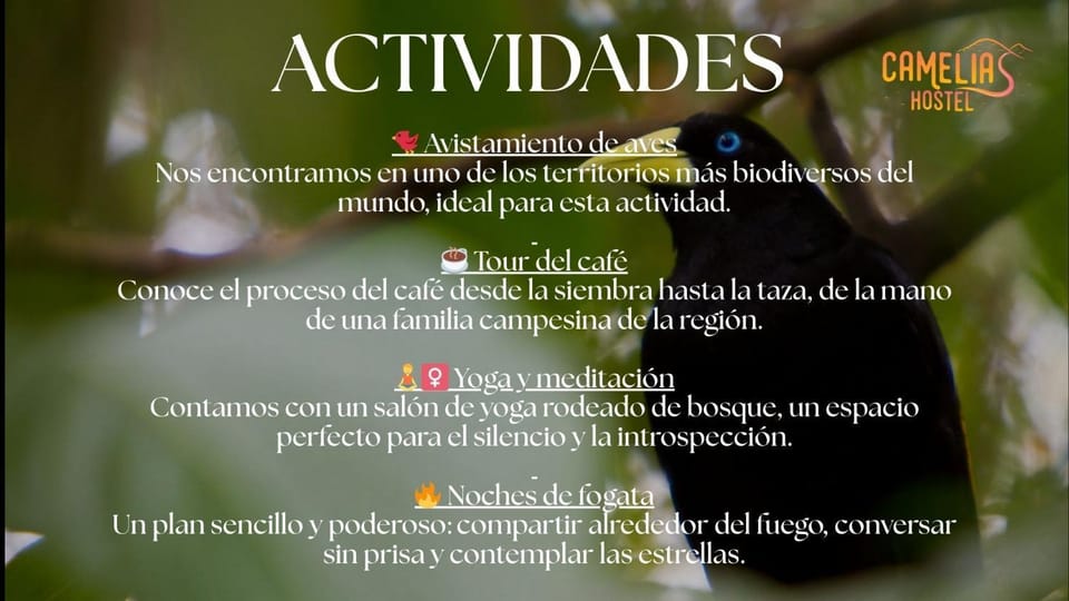 Activities