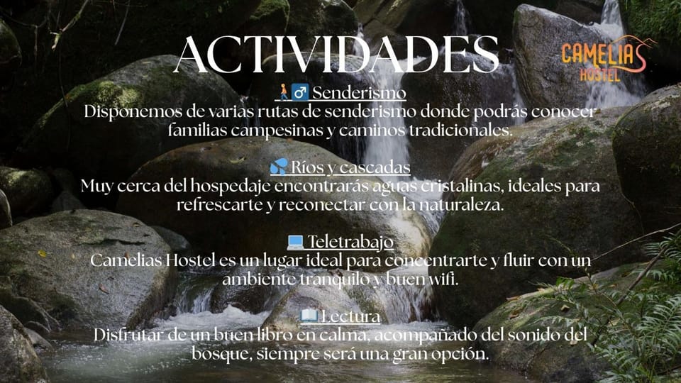 Activities