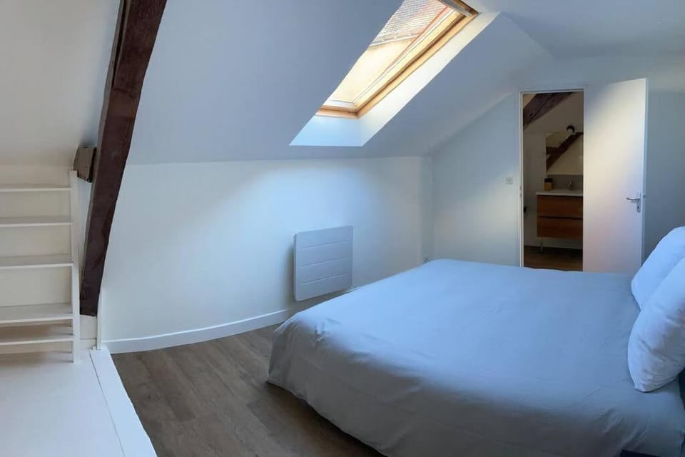 Au bord de la Mayenne Apartment in Laval