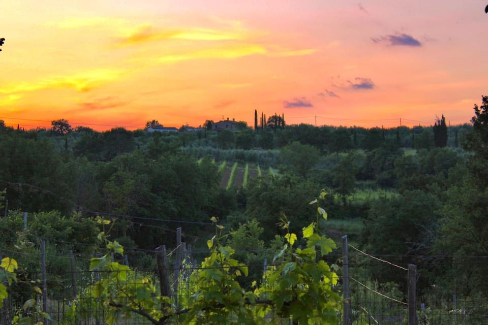 Natural landscape, View (from property/room), Sunset