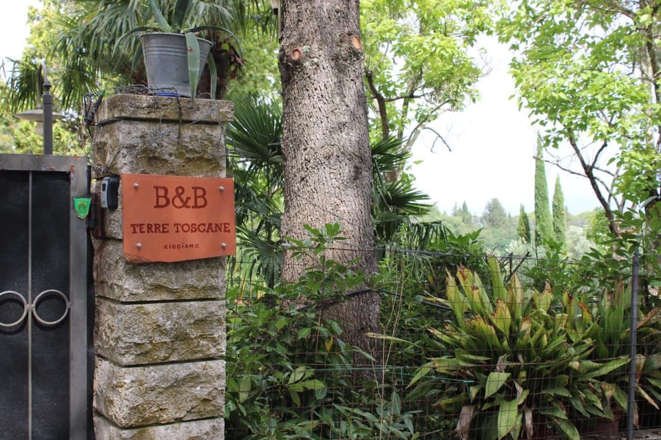 Property logo or sign, Natural landscape, Garden, Street view