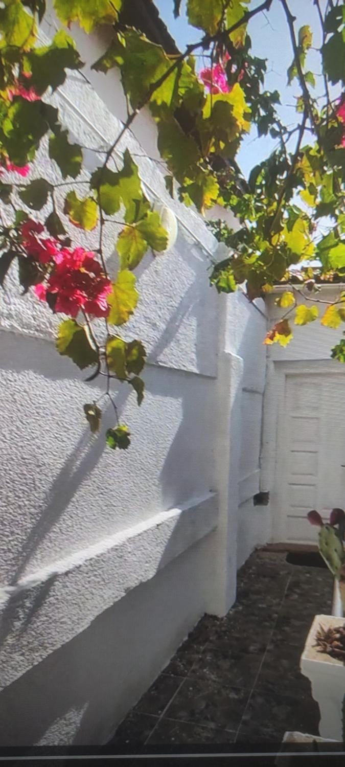 Cozy HOME Apartment in Algiers [El Djazaïr]