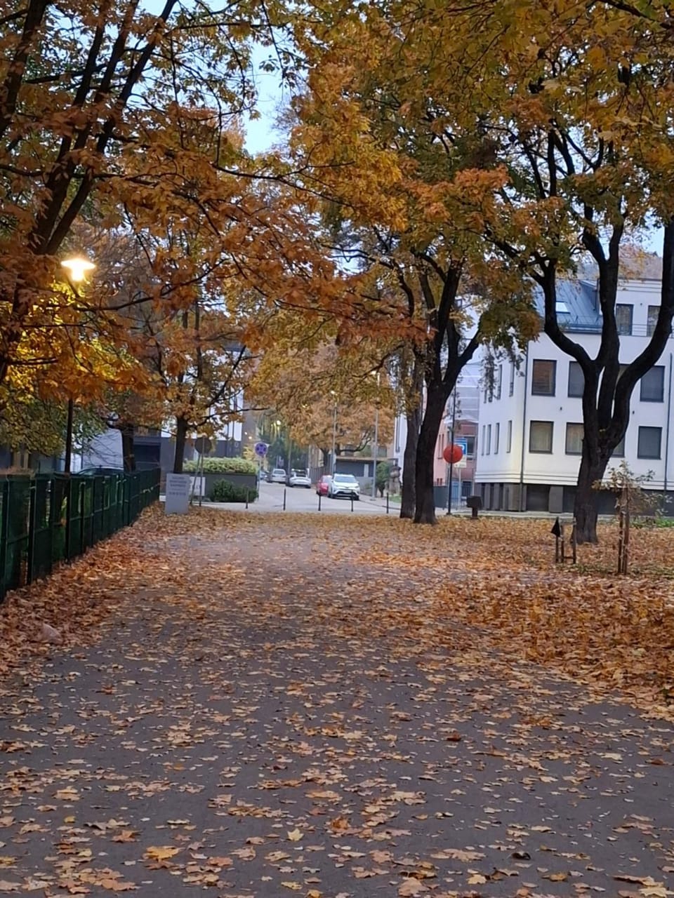 Neighbourhood