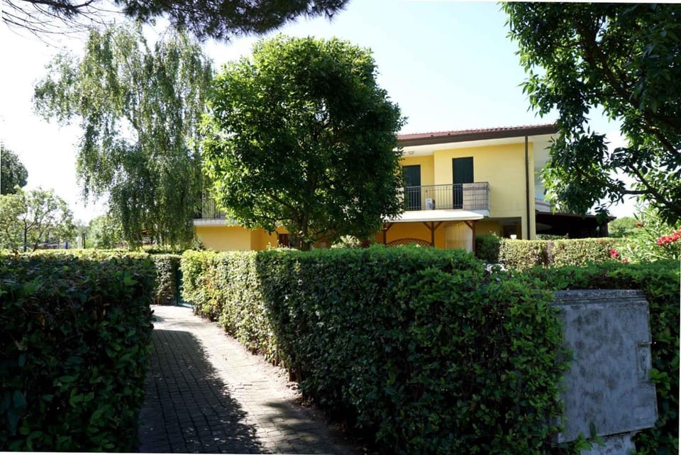 Property building, Summer