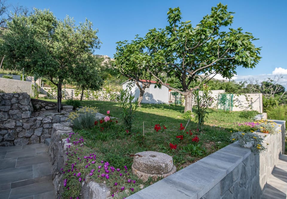 Natural landscape, Garden, Garden view