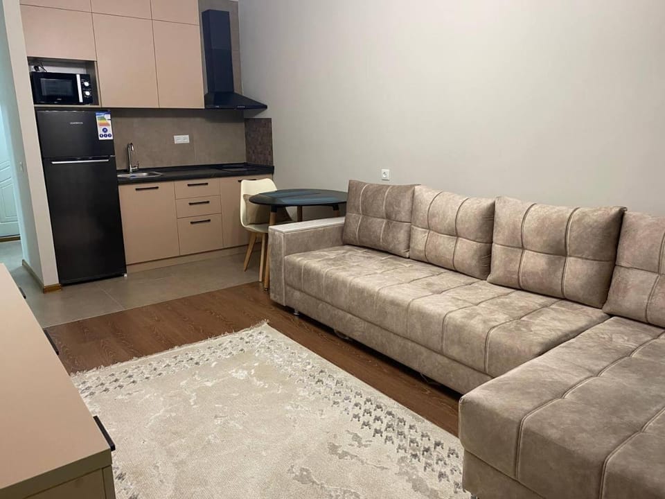Kitchen or kitchenette, minibar, stove
