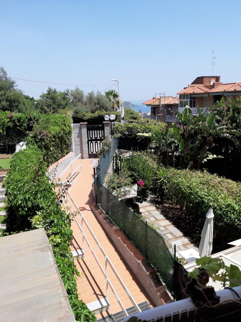 Garden view