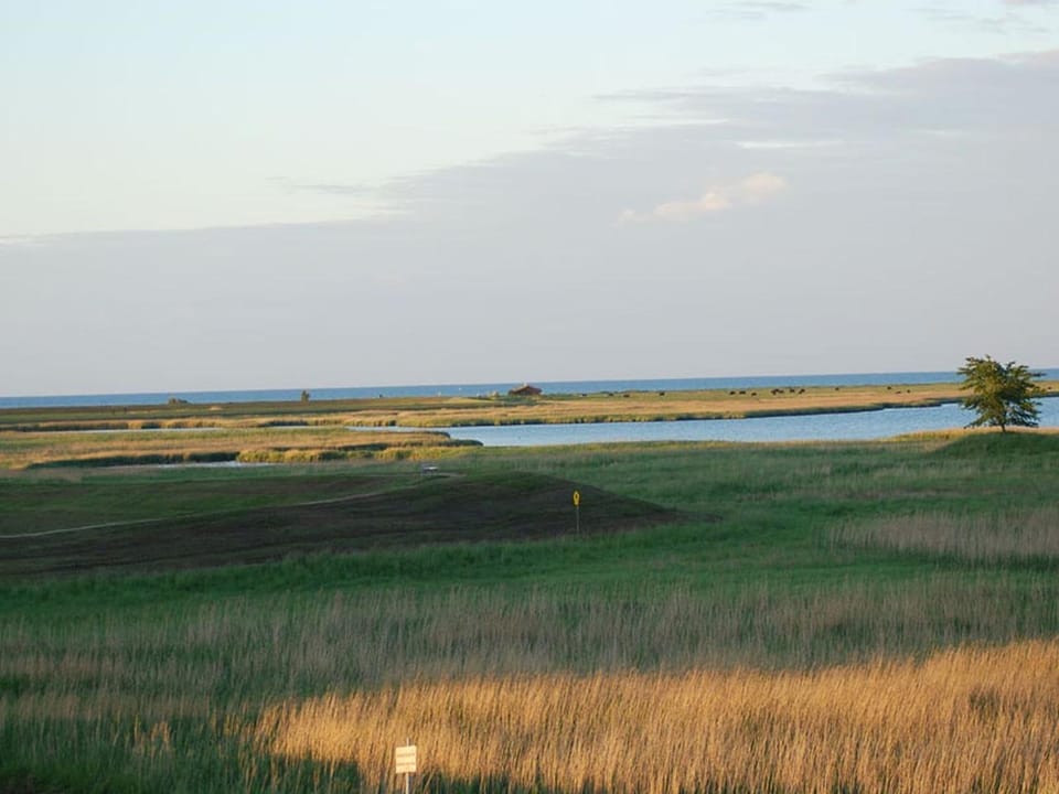 Natural landscape
