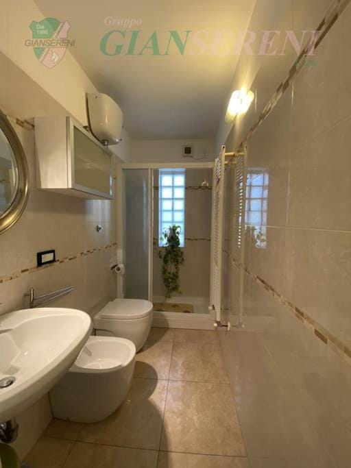 Shower, Toilet, Bathroom, bidet