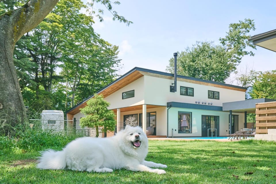 pet friendly