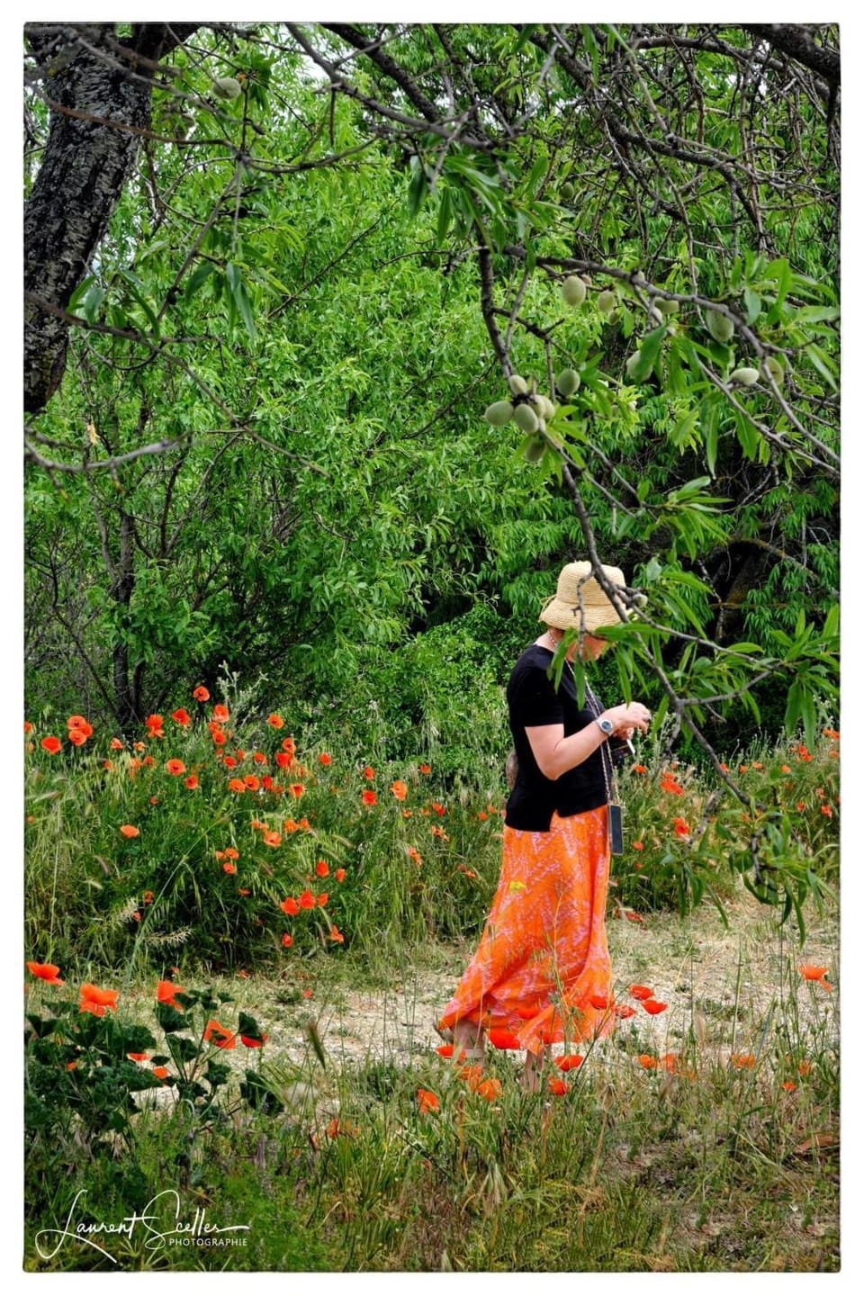 La Cerisaie, maison spacieuse en Lubéron House in Provence-Alpes-Côte d'Azur