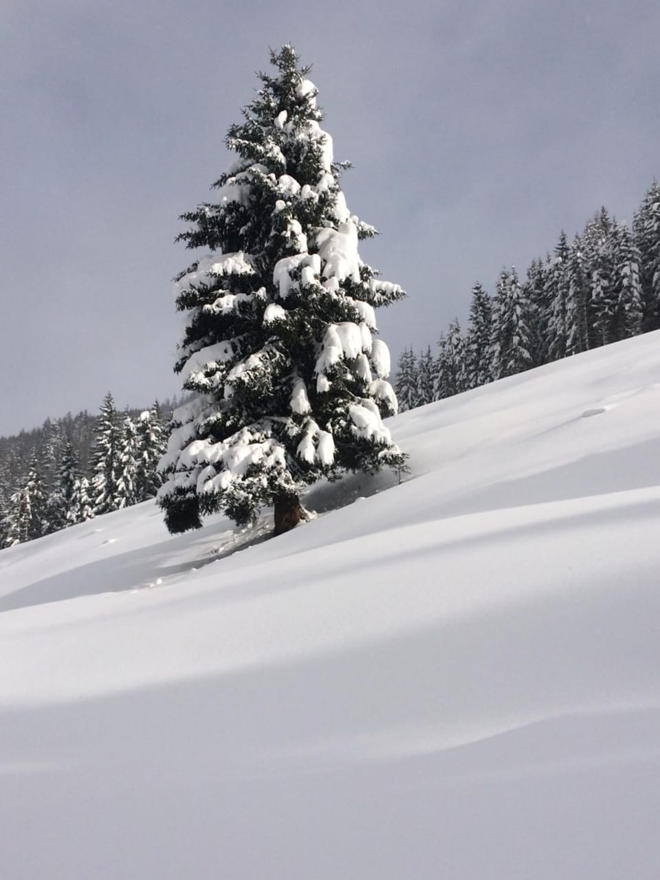 Day, Natural landscape, Winter