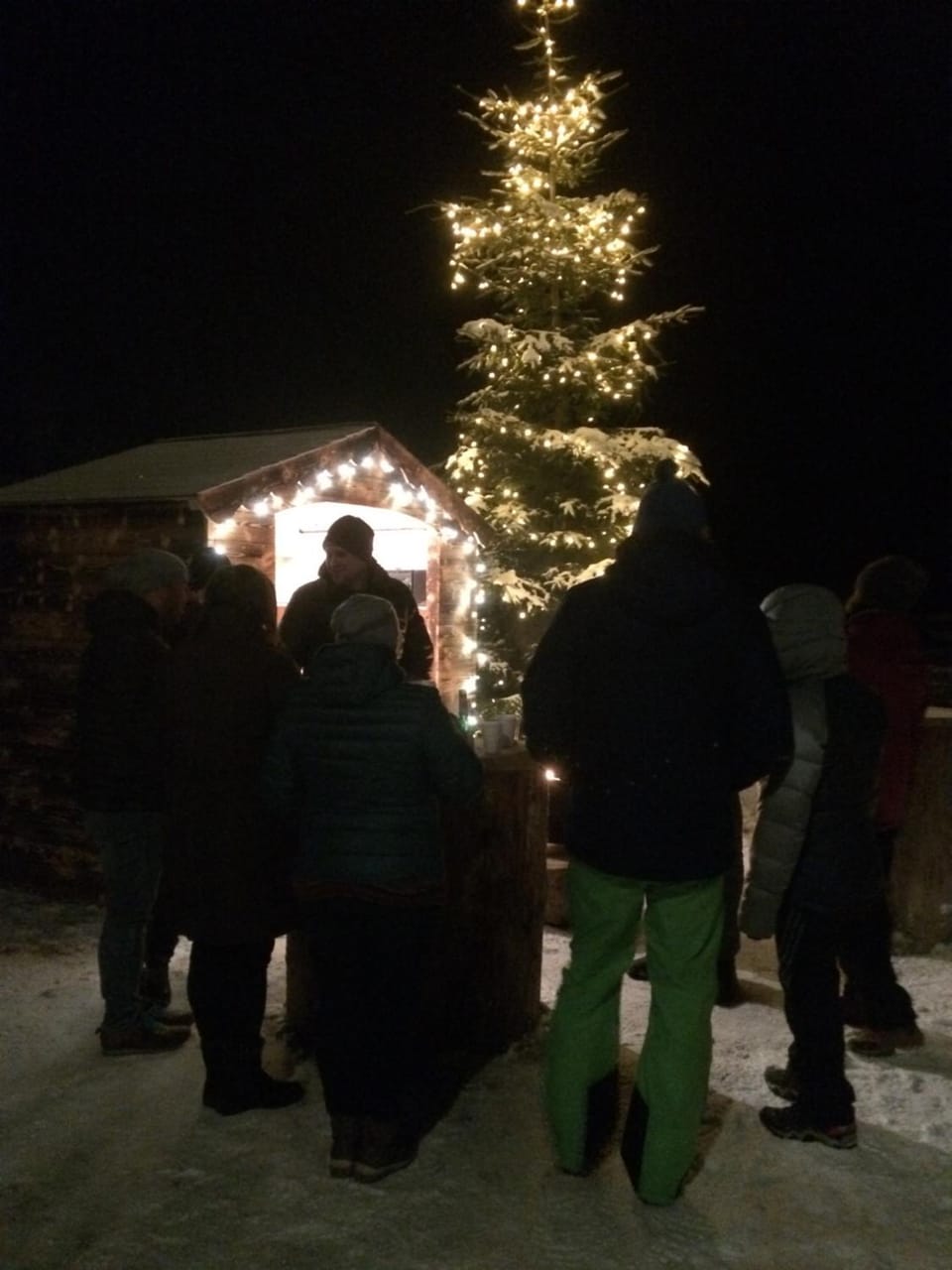 Night, Winter, group of guests