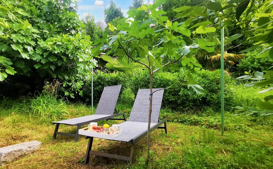 Spring, Day, Garden, Garden, Balcony/Terrace, Seating area