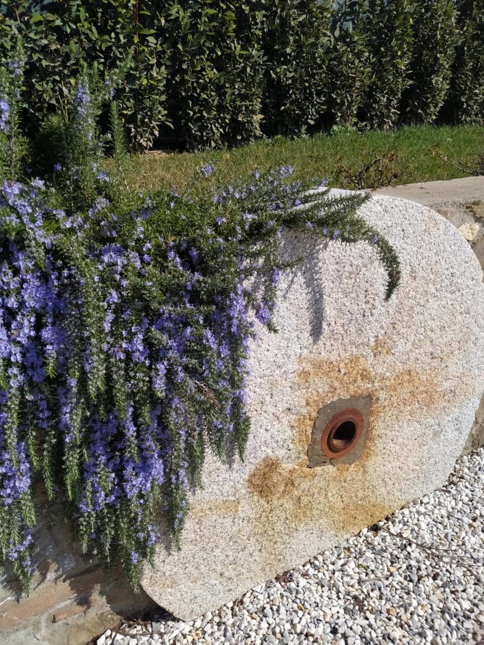 Natural landscape, Garden, Decorative detail, Garden view