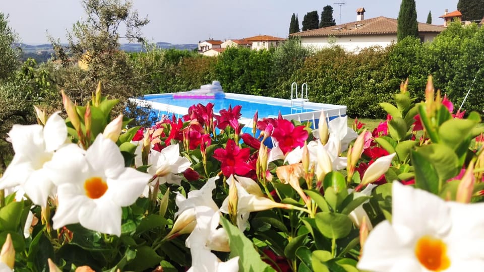Spring, Day, Garden, Pool view, Swimming pool