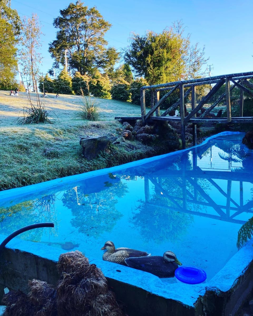 El Viloche - Casa de campo con tinaja House in Los Lagos, Chile