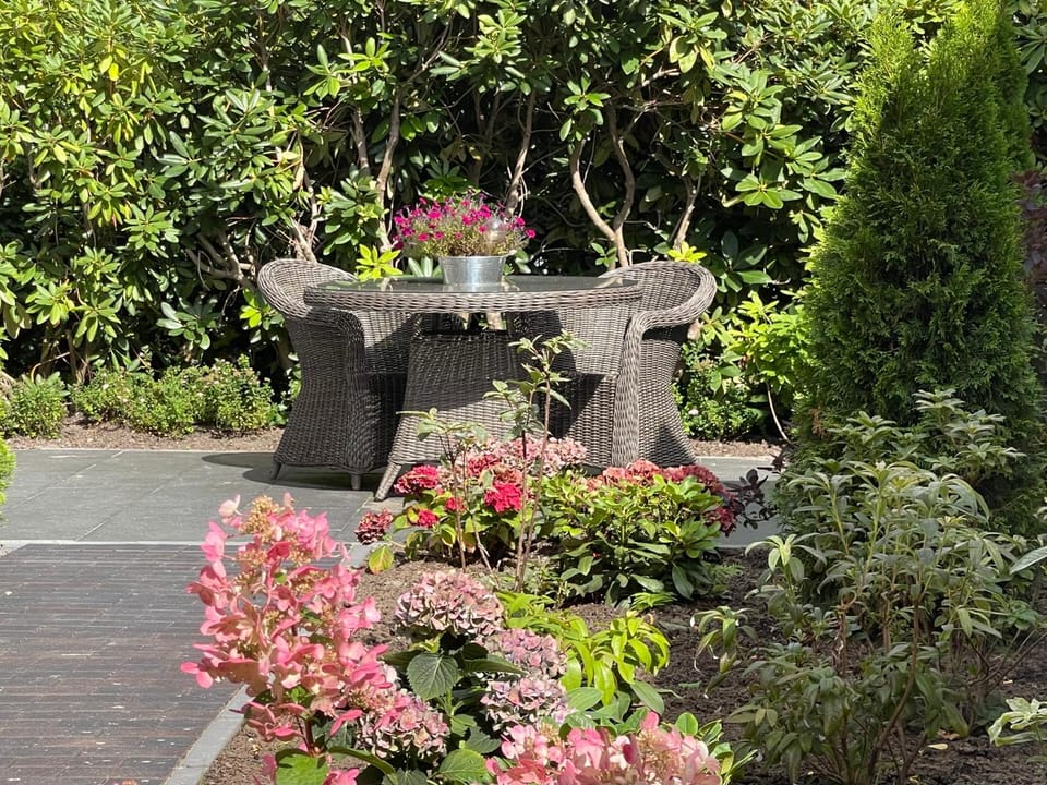 Garden view