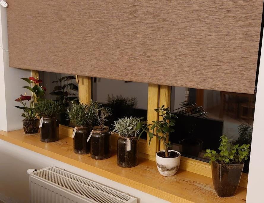 Spicy studio in Art Nouveau district, Culture trip Apartment in Riga