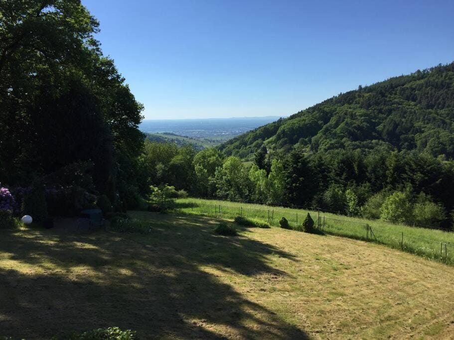 Natural landscape, Garden, View (from property/room)