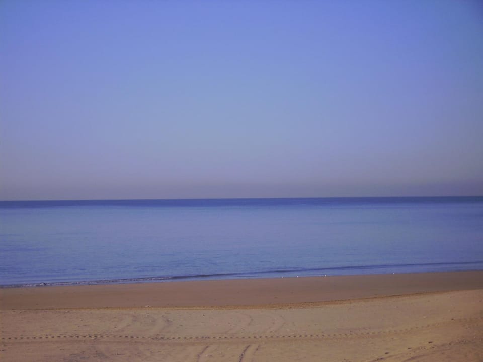 Beach, Area and facilities