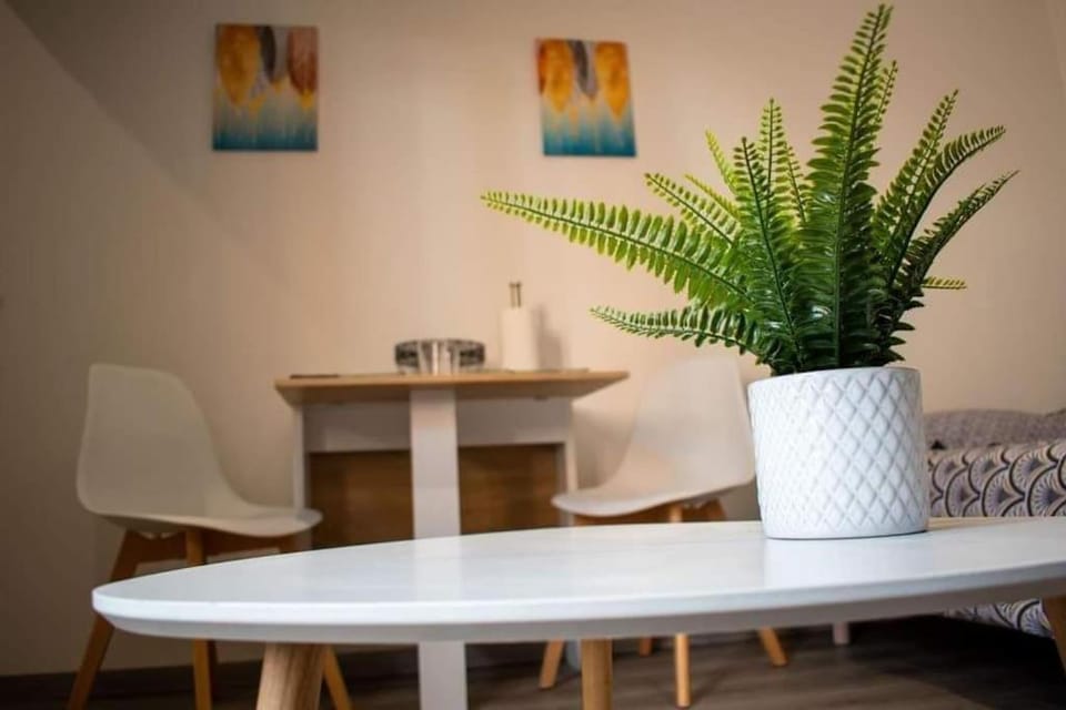 Studio Charmant Confortable TV Centre Ville Louviers Apartment in Normandy
