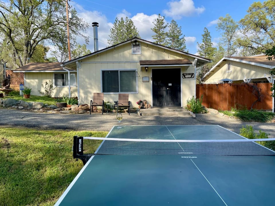 Table tennis