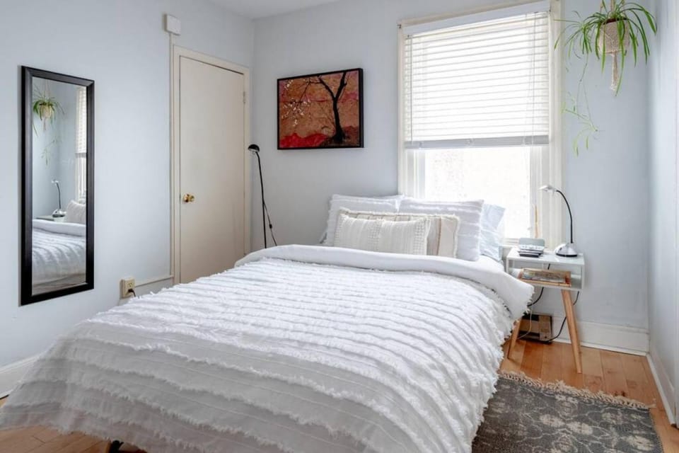 Deluxe Cute Apt Walk to Restaurants Apartment in Burlington
