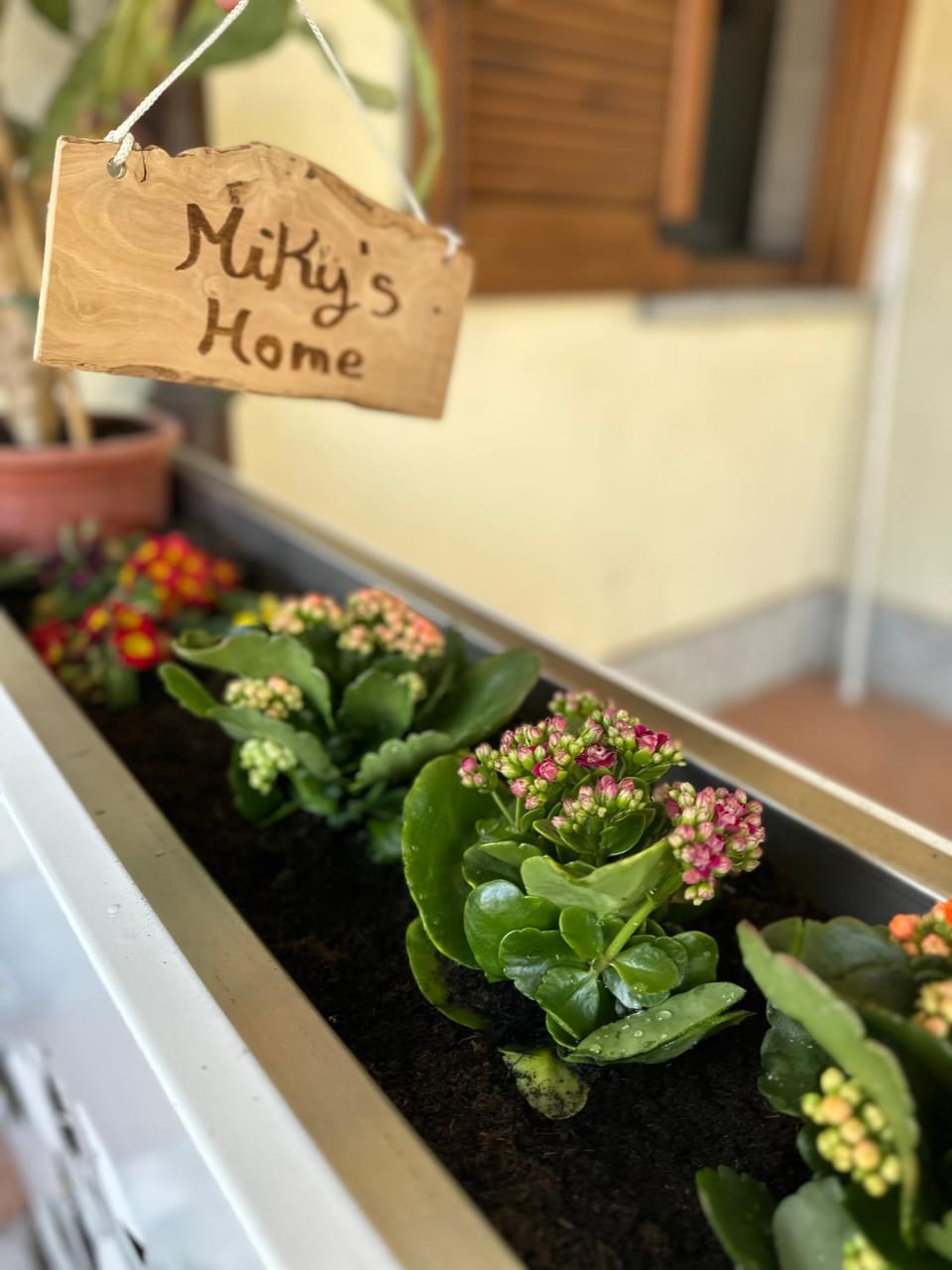 Miky’S home Apartment in Canton of Ticino