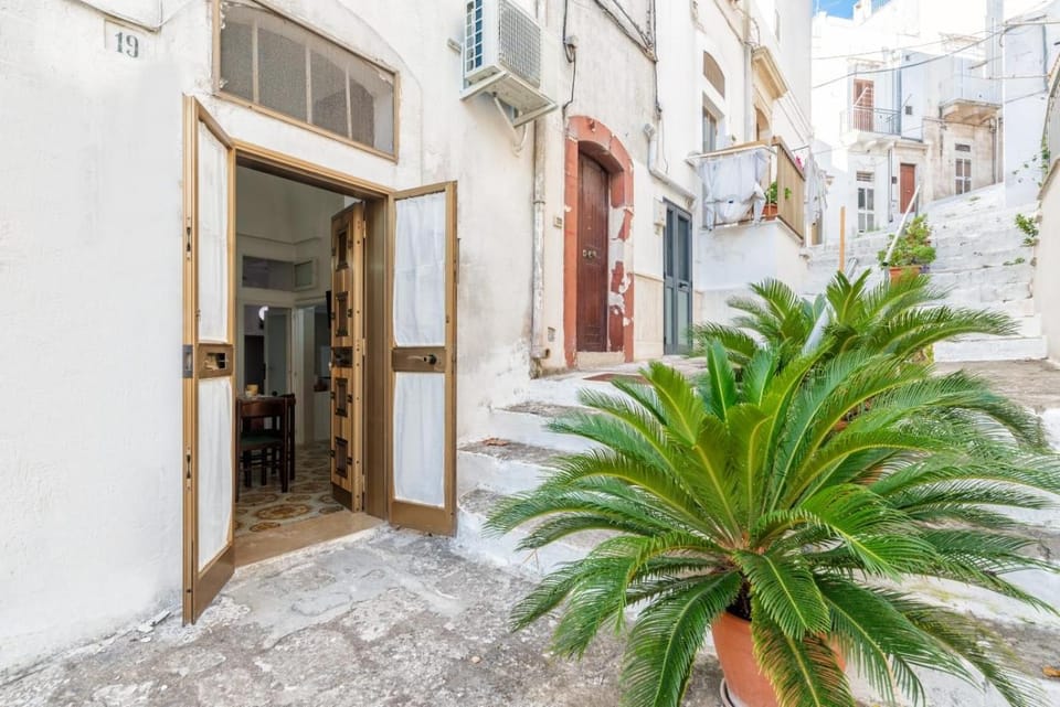 Property building, Day